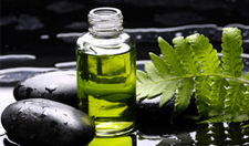 Essential Oils